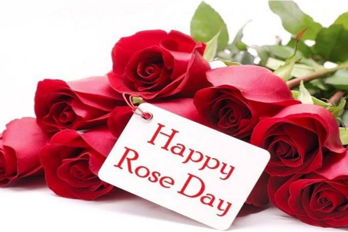 Happy Rose day 2025 live wishes