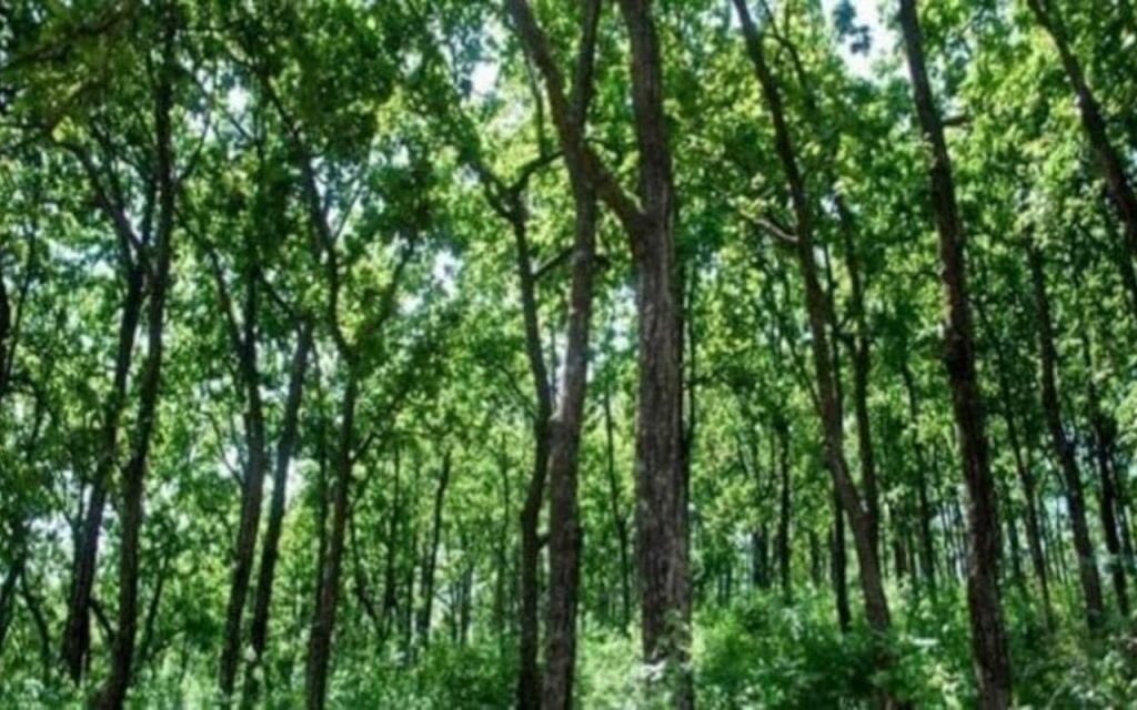 an image