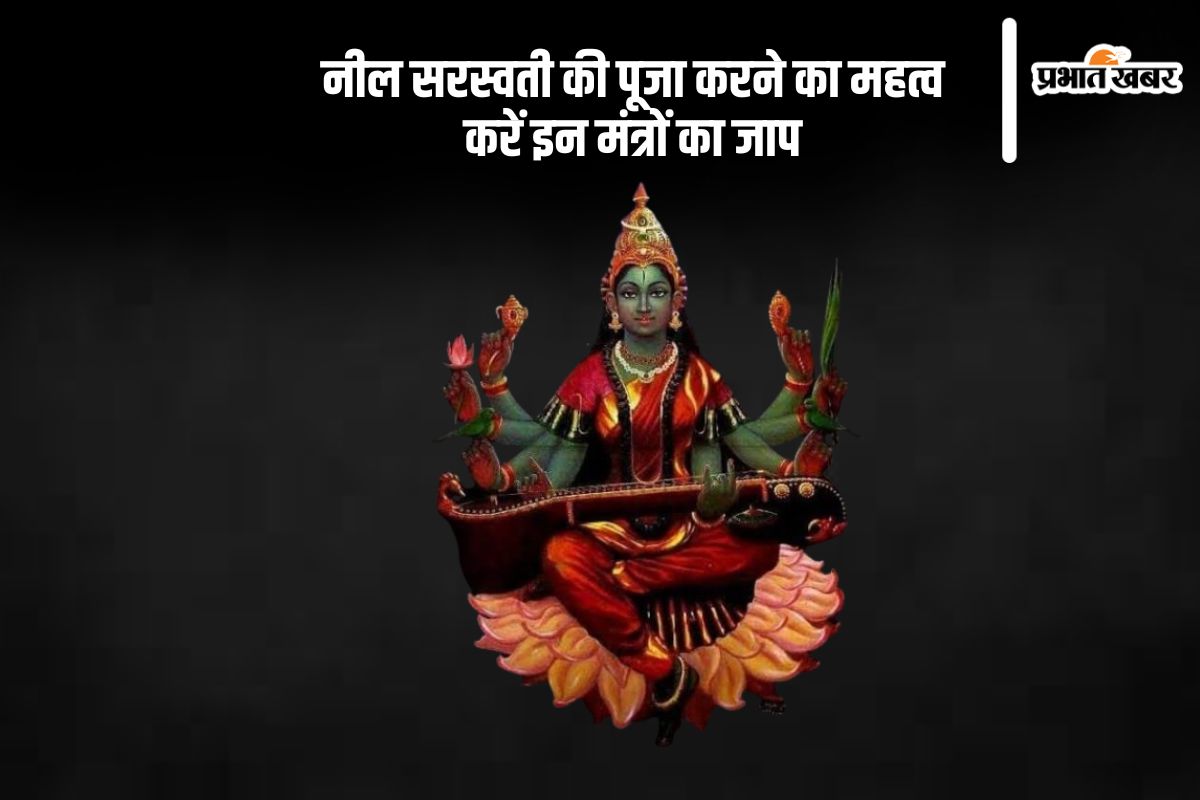 Neel Saraswati puja 2025