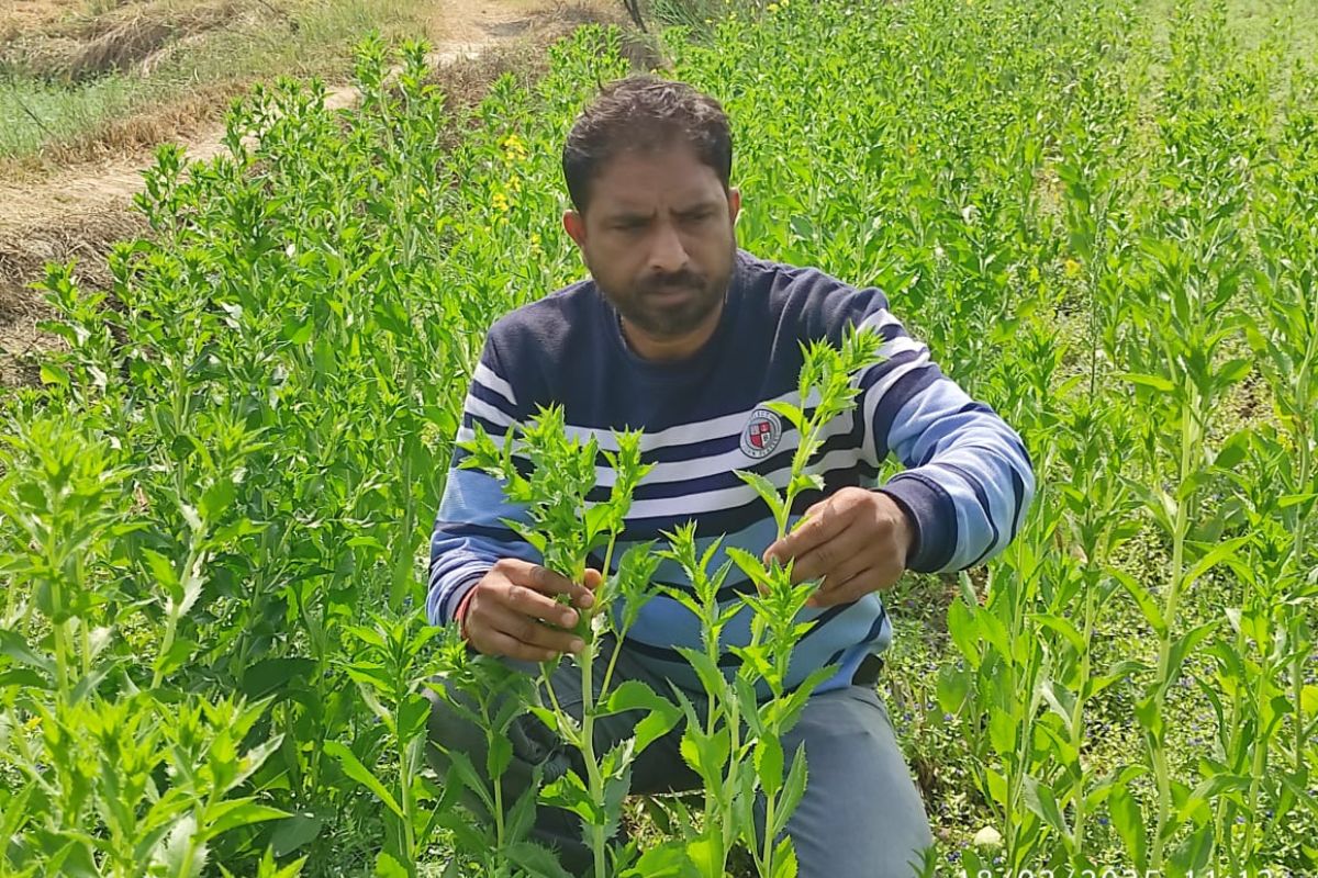 किसान आशीष सिंह