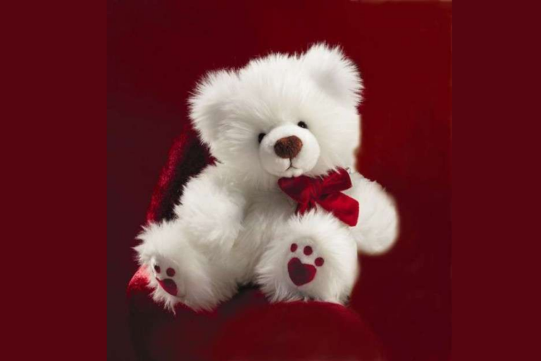 Teddy Day Tips: टेडी बियर गिफ्ट करने से पहले जान लें ये 5 बातें, वरना ना हो जाए गलती!