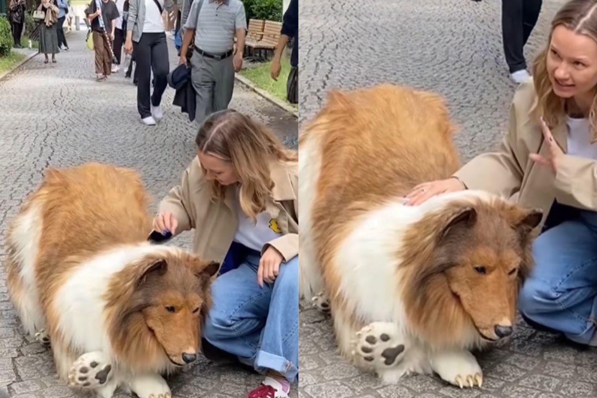 Viral video of man became dog by spending 12 lakh rupees