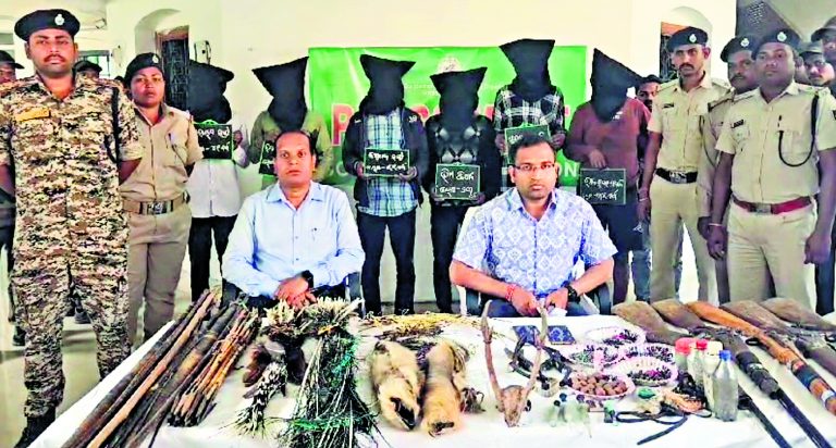 Rourkela News: वन विभाग ने छह शिकारियों को किया गिरफ्तार, हथियार, बंदर की खाल व हिरण की सींग बरामद