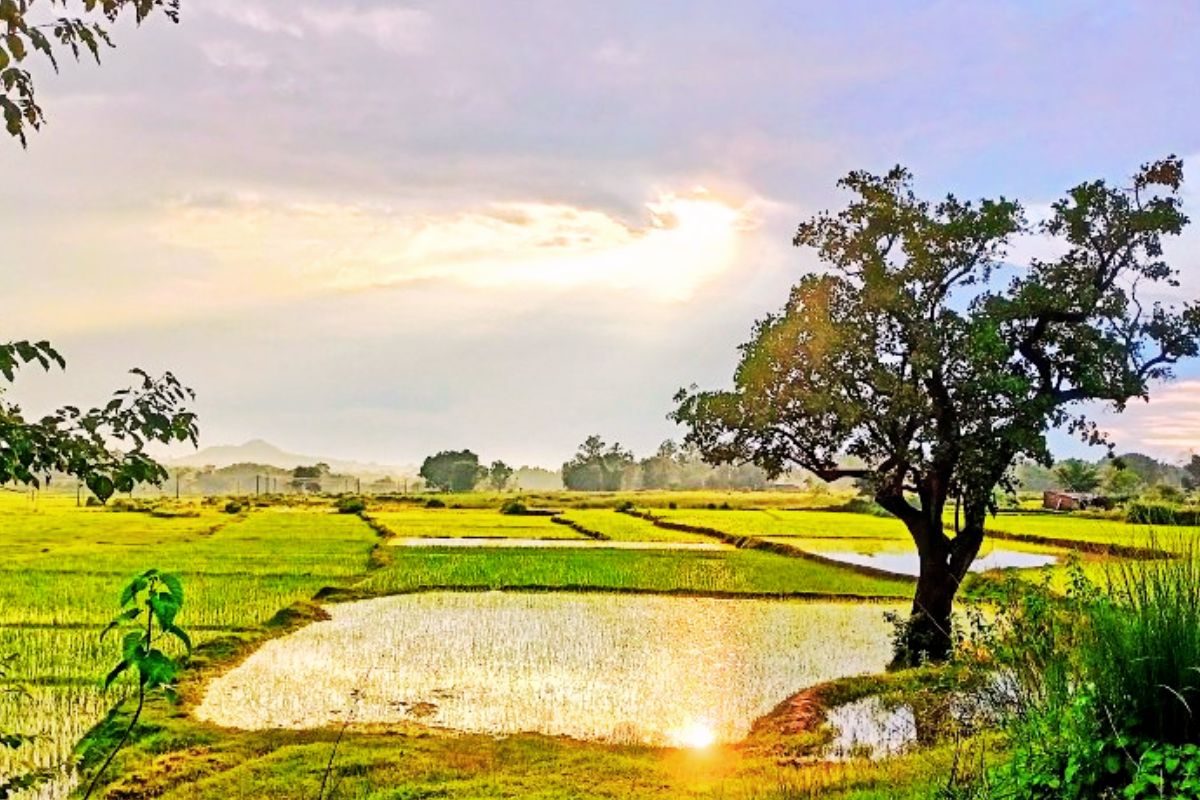 jharkhand weather forecast 15 days