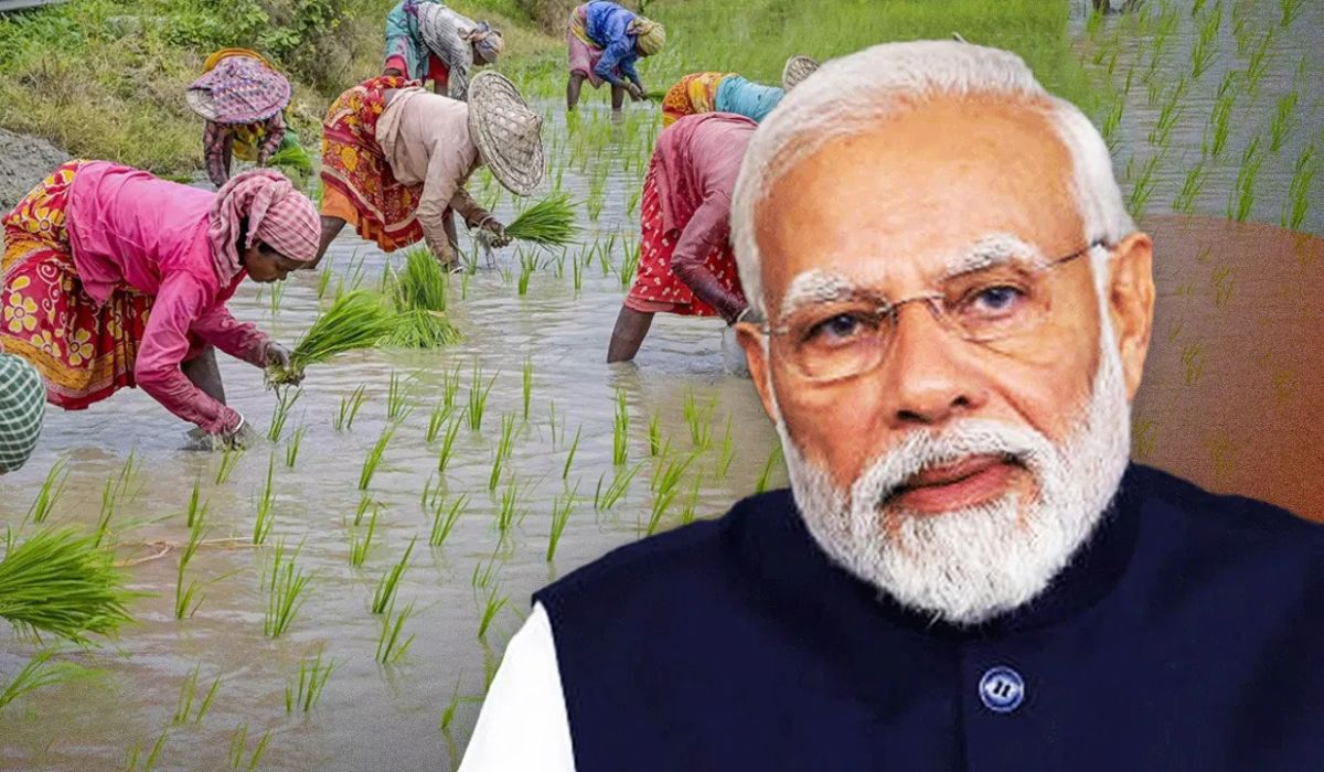 pm modi kisan samman