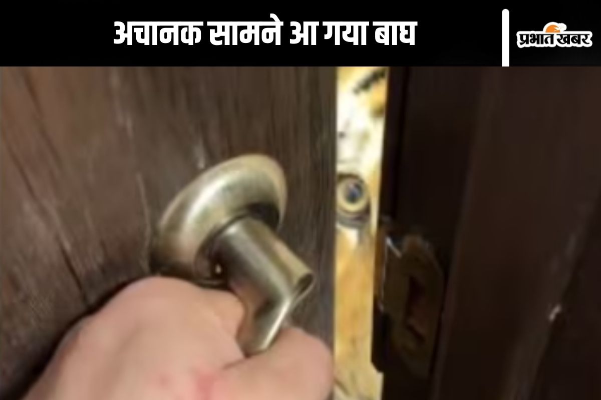 tiger viral video