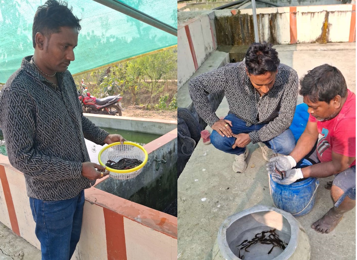 Bhagalpur fish