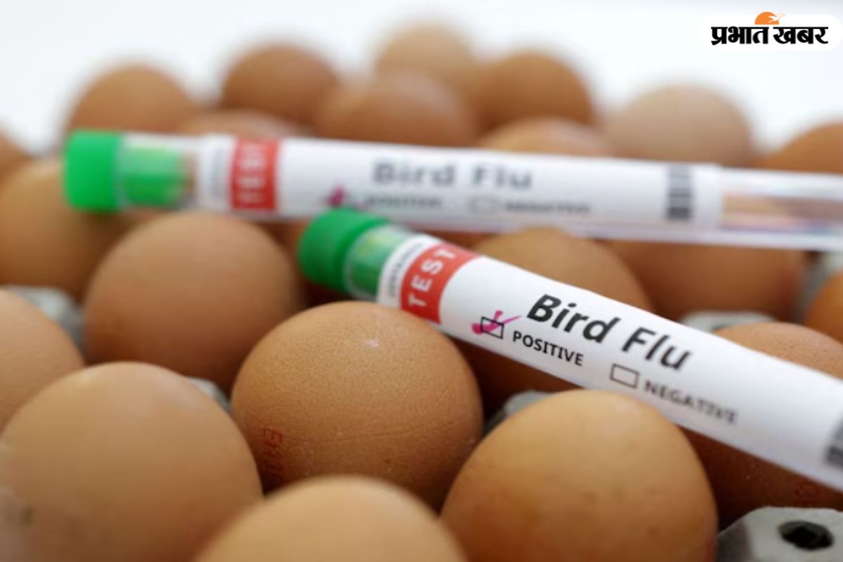 Bird Flu