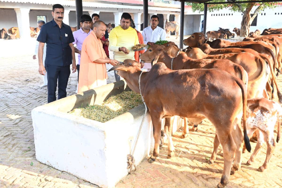 CM Yogi with Cow