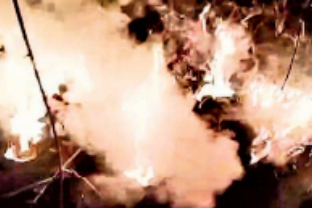 झुमरा पहाड़ के जंगल में लगी भीषण आग