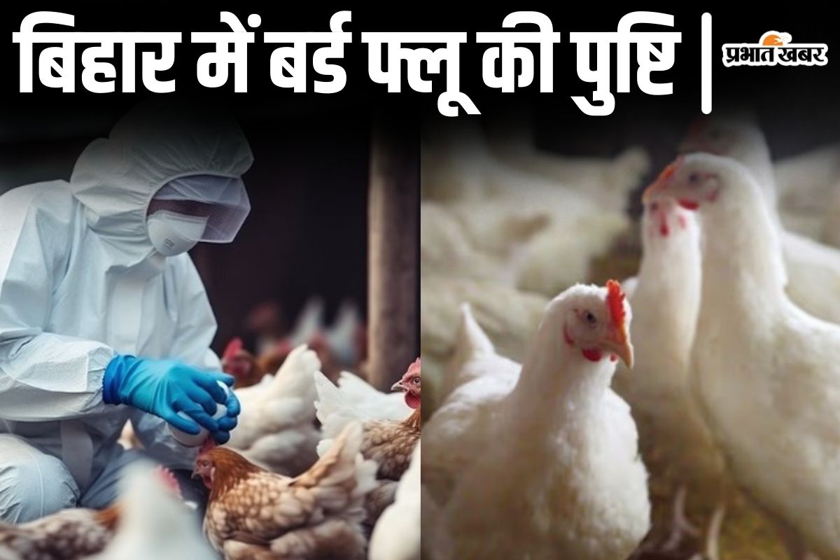 bird flu in bihar