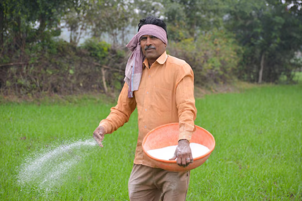 Fertilizer Subsidy