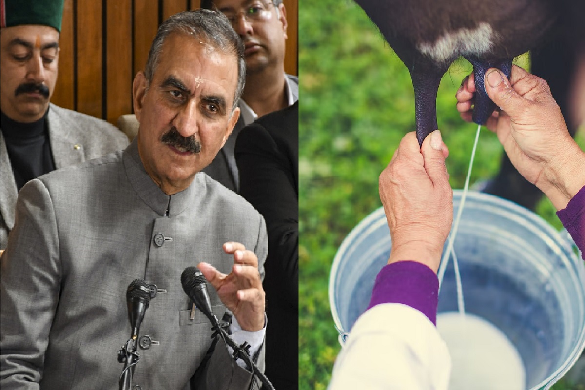 Milk prices hiked in Budget 2025