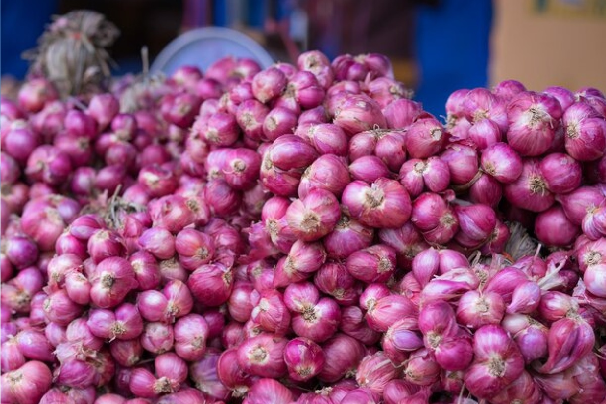Onion Price