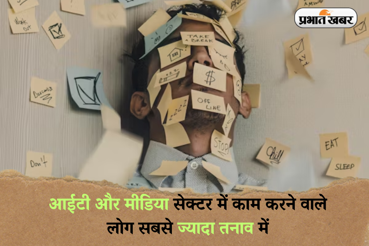 Job Stress IT and Media Sectors