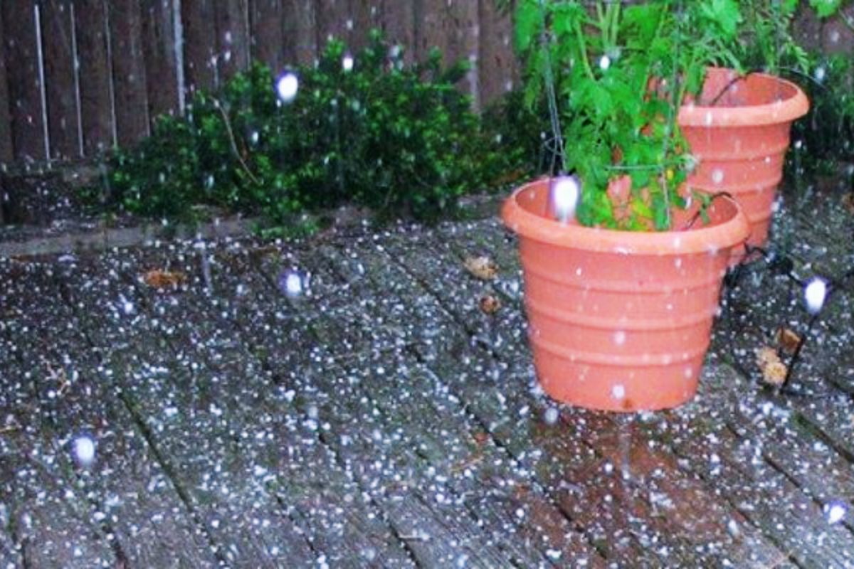 Red alert of rain thunder and hailstorm