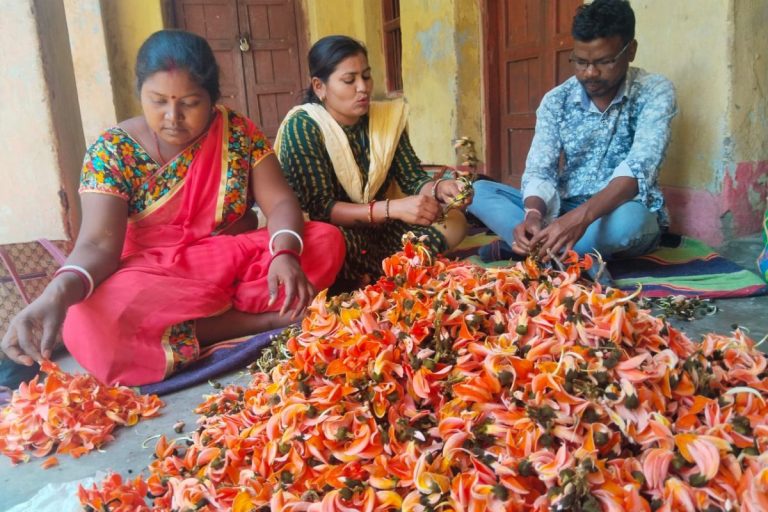 Holi 2025: झारखंड में पलाश के फूल से तैयार हर्बल गुलाल की भारी डिमांड, ऐसे तैयार किया जाता है इसे