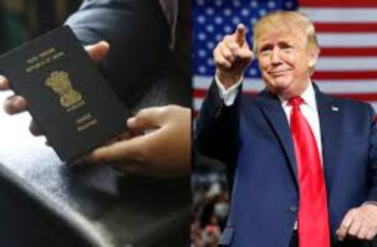 Self Deport Immigrants