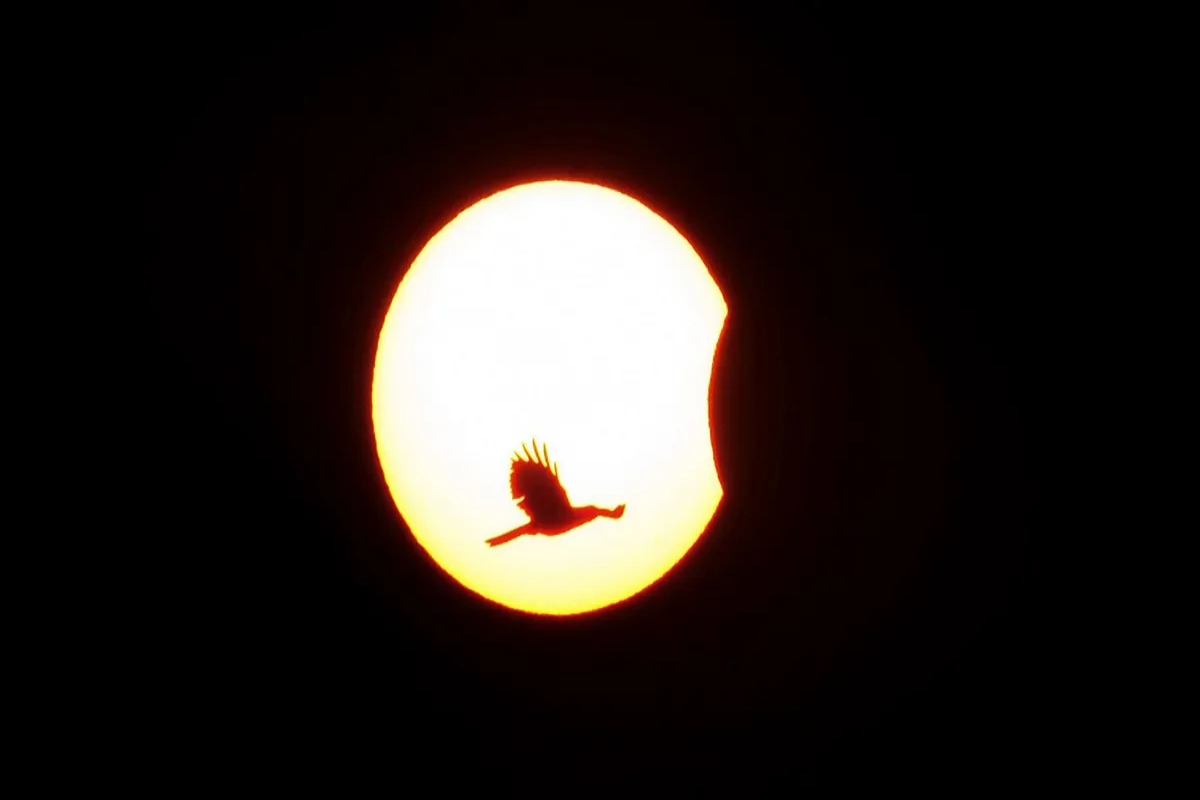 Solar Eclipse Live Streaming