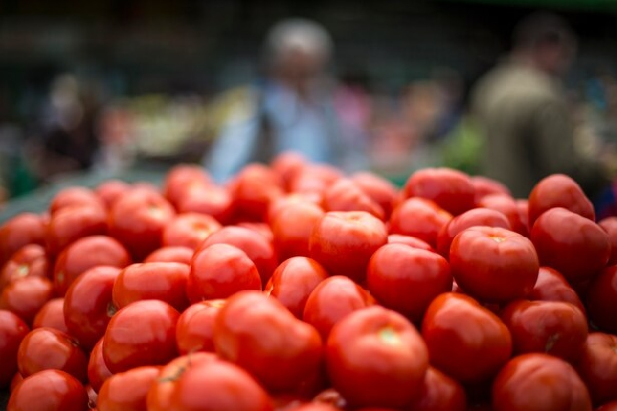 Tomato Price