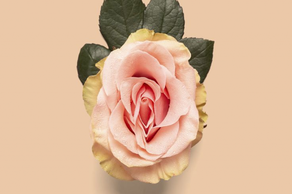 an image