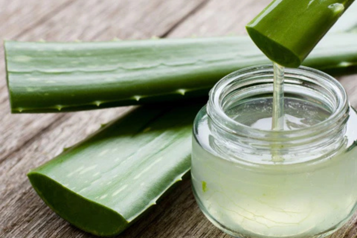 Homemade Aloe Vera Gel