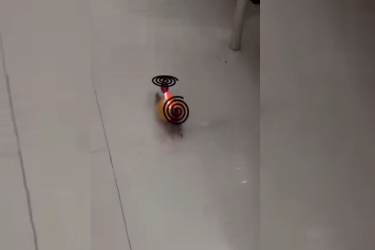 Viral Video