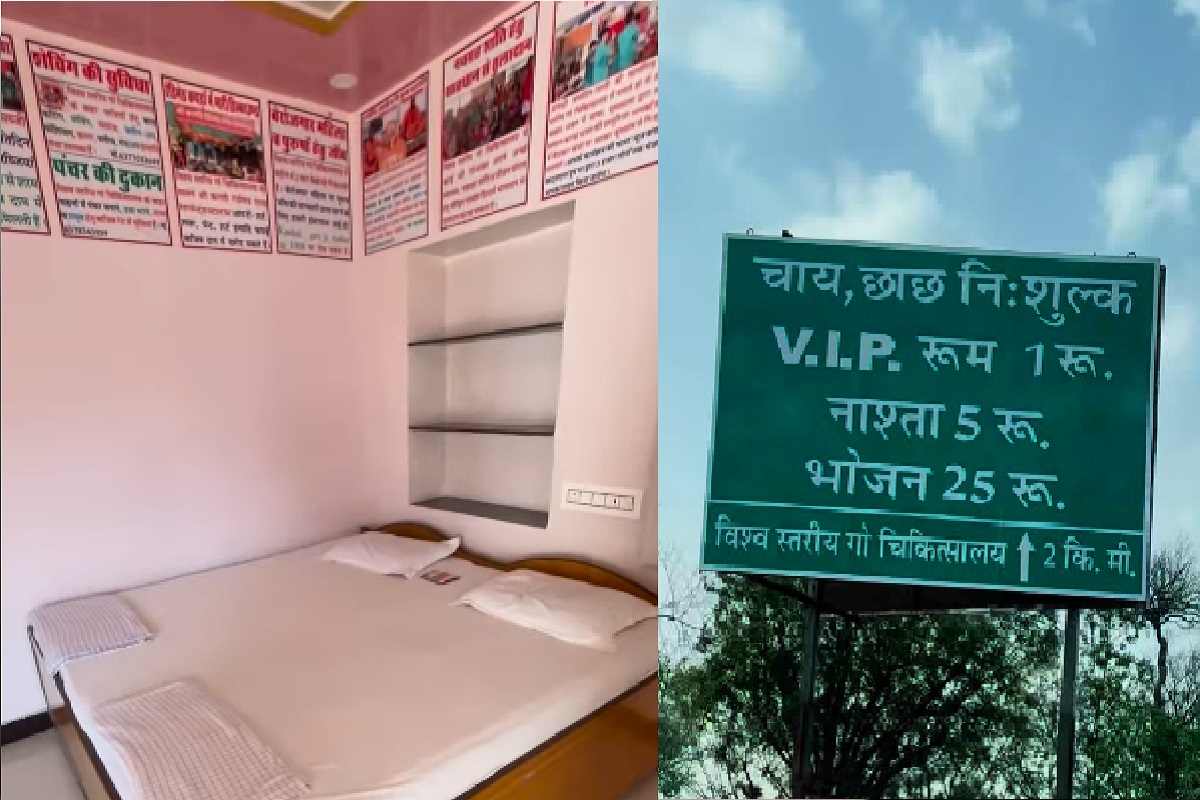 Viral Video VIP room