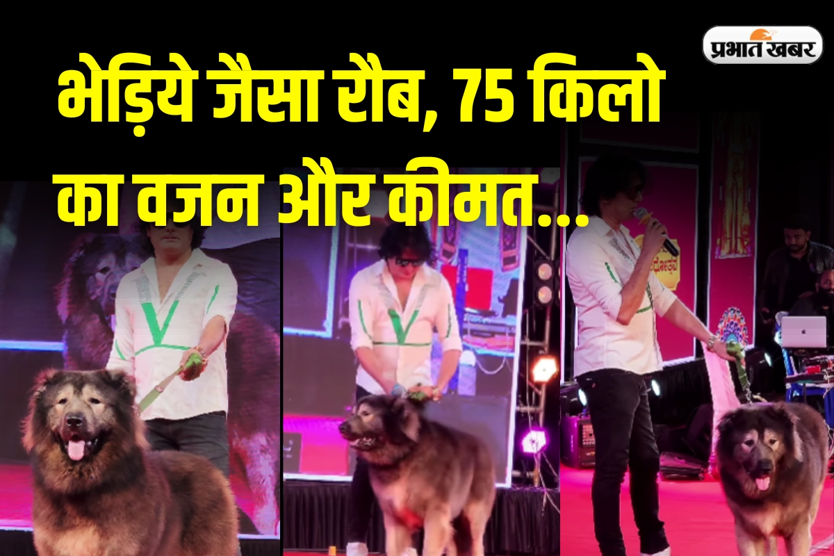 World Most Expensive Dog
