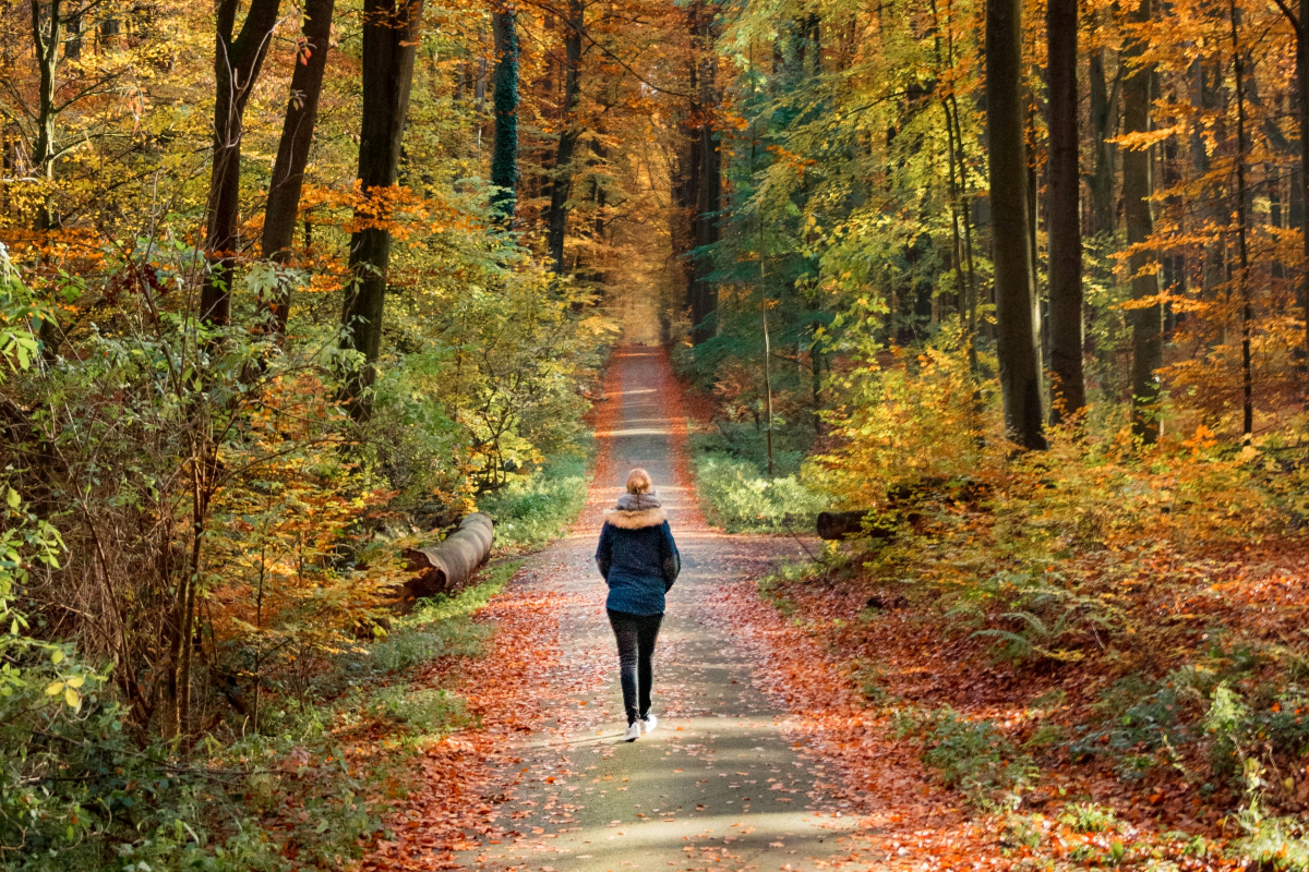 benefits of brisk walk