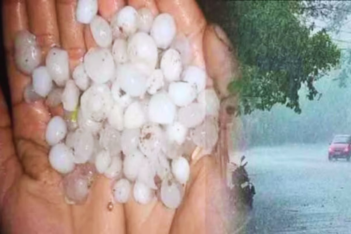 gopalganj rain news| Bihar Rain News: Hailstones fell from the sky along with heavy rain in Gopalganj