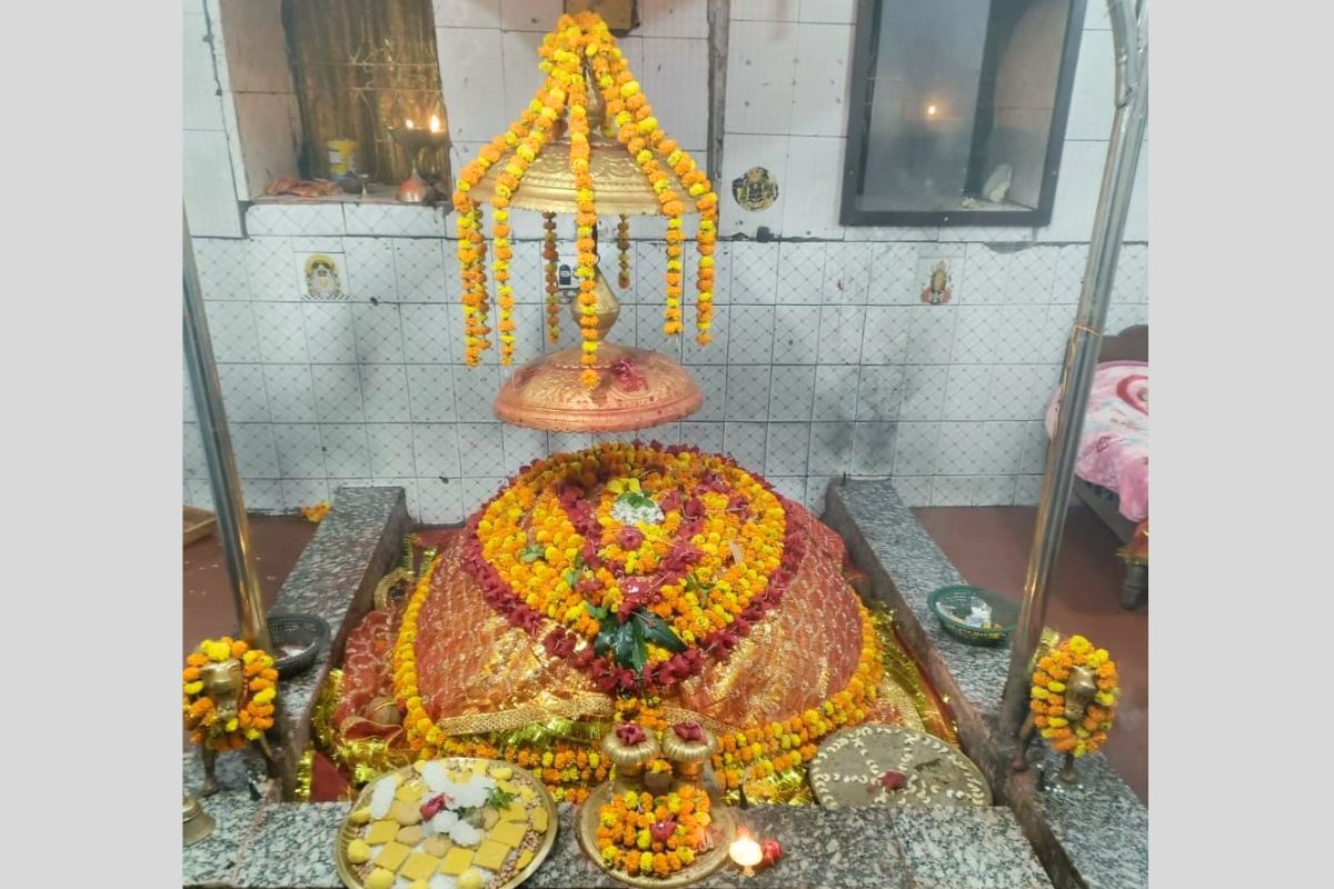 patna van temple| Devotees get miraculous blessings in Patna's Van Devi temple, crowd gathers during Navratri