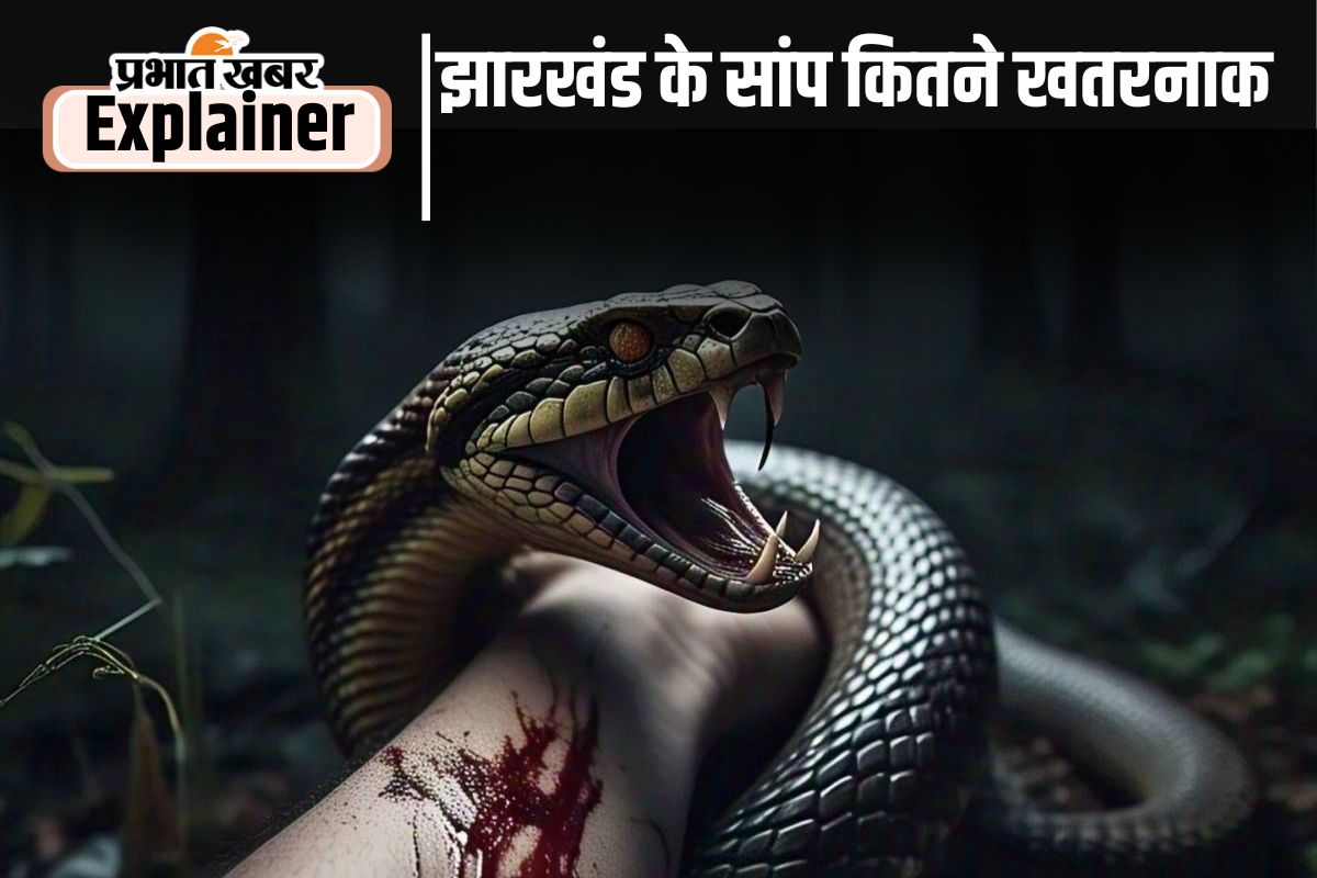 Snake Bite in Jharkhand