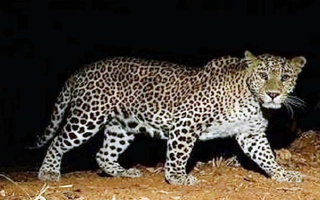an image