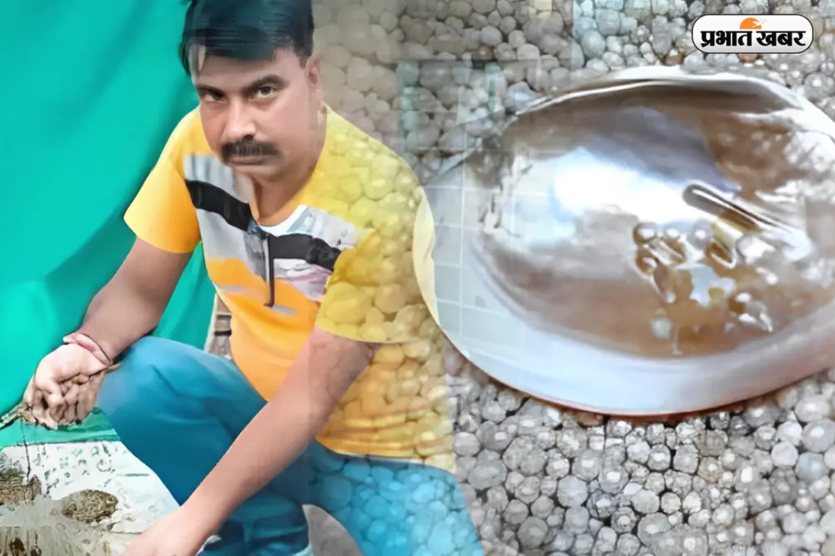 नरेंद्र सिंह गिरवा