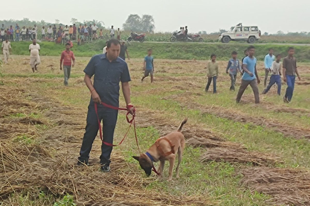 Bihar Crime