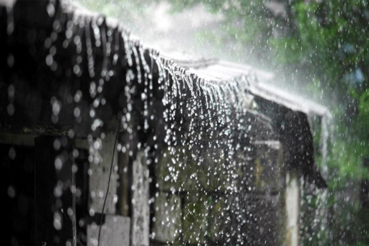 Bihar Rain Image