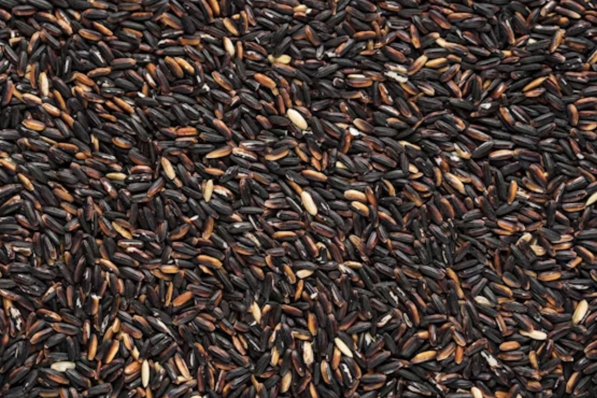 Black Rice
