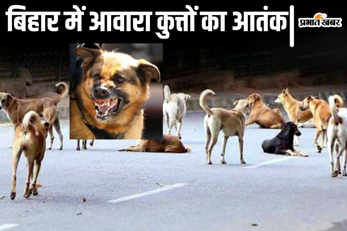 bihar dog bite news