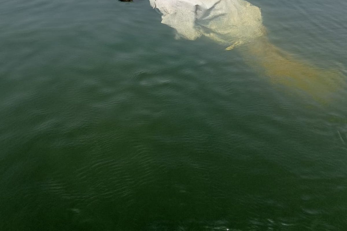 Deadbody Found in Giridih