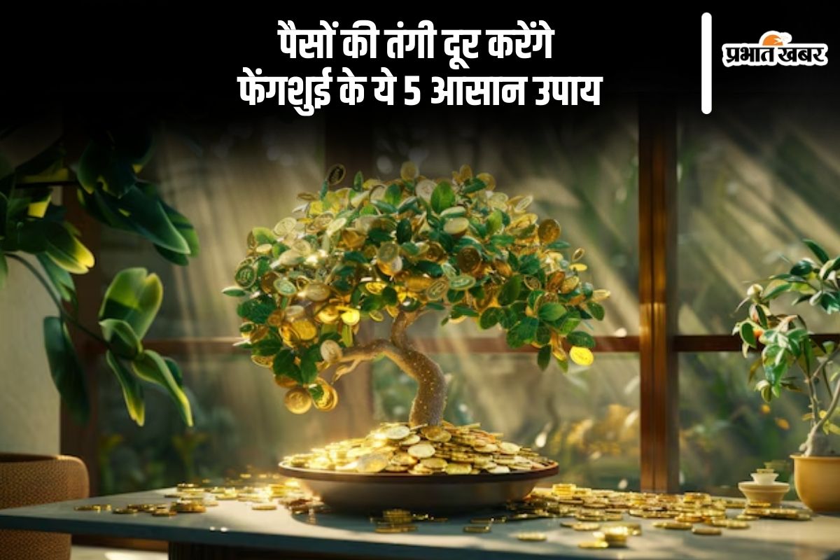 Feng Shui Tips for Money in Hindi
