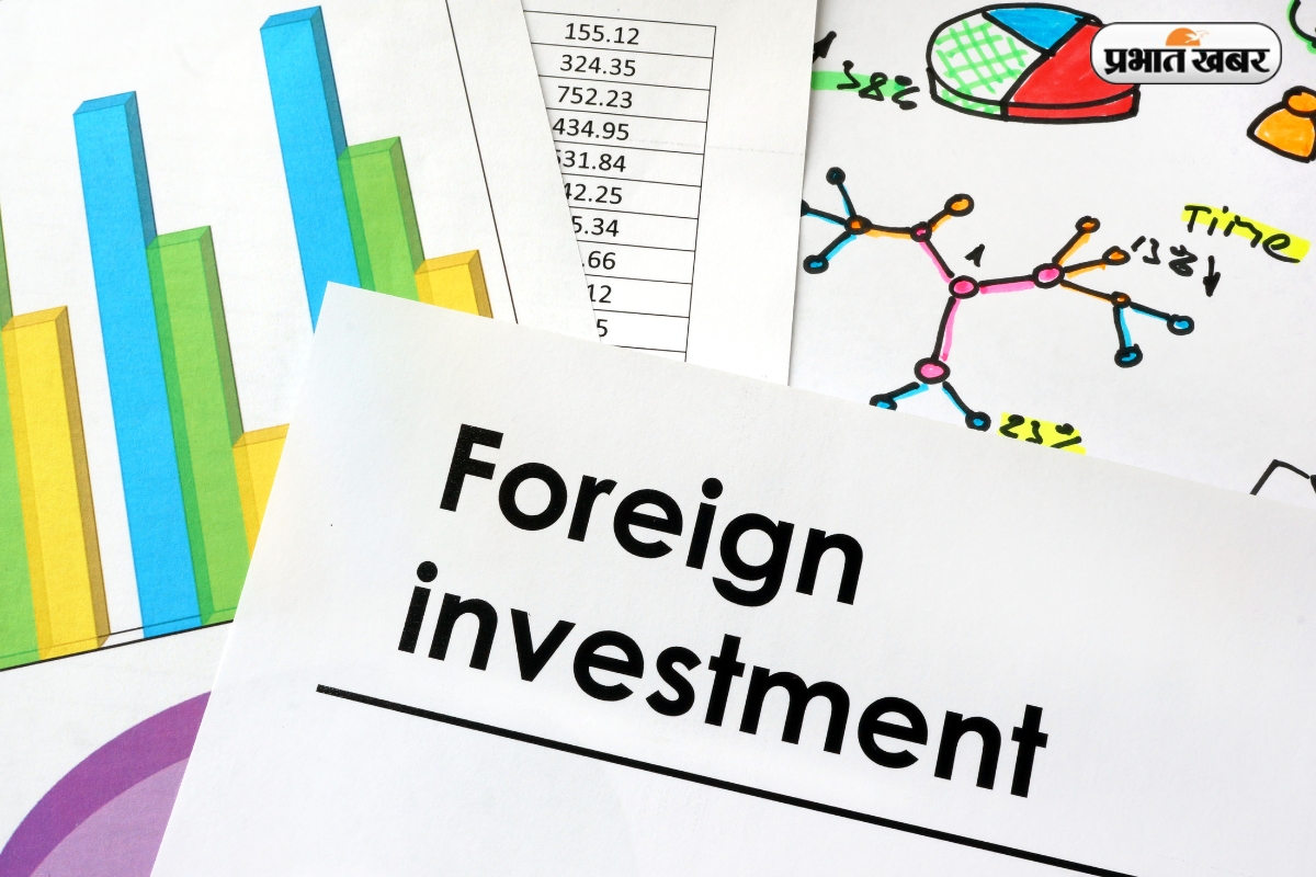 Foreign Portfolio Investment