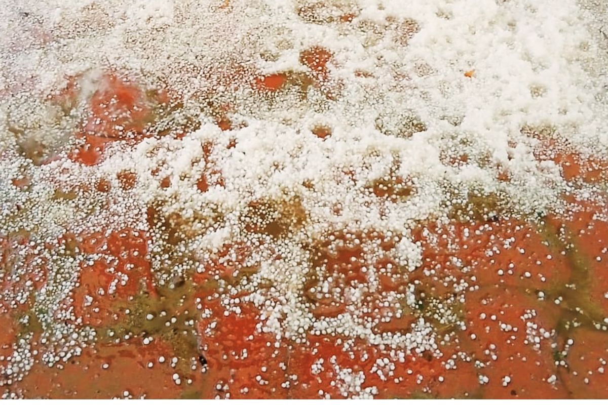 Jharkhand Weather Alert Hailstorm IMD Update