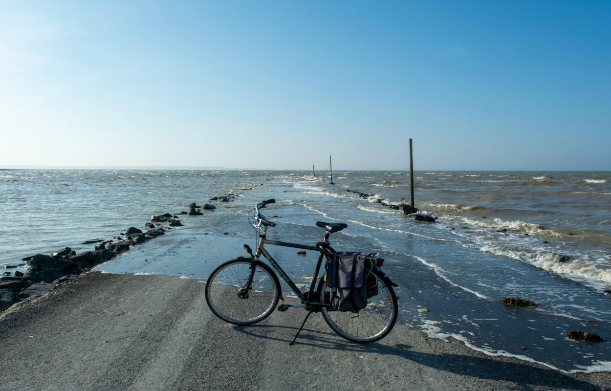 Road That Disappears Twice A Day