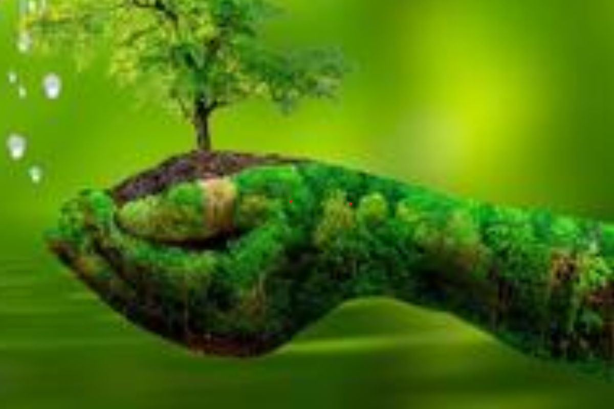 Symbolic Pic For Save Nature