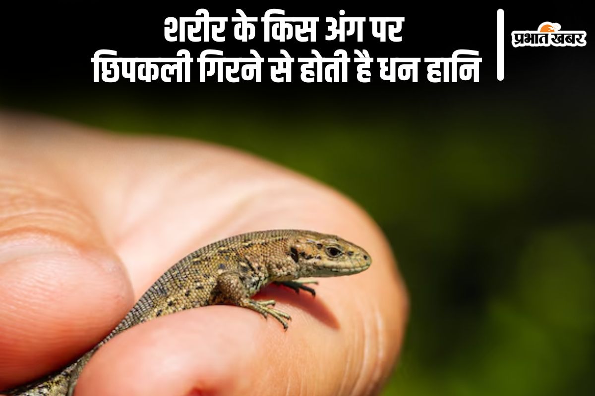 Shakun Shastra prediction