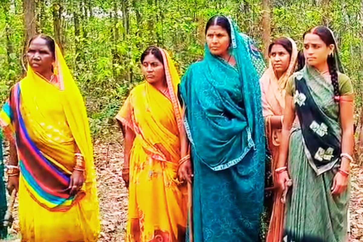 Tuktuko Jungle Bagodar Giridih News