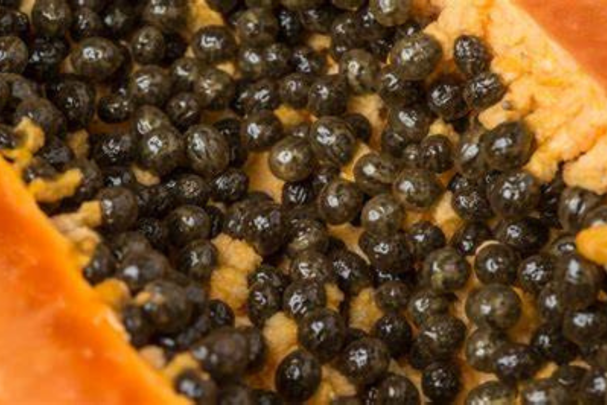 Papaya Seed Benefits