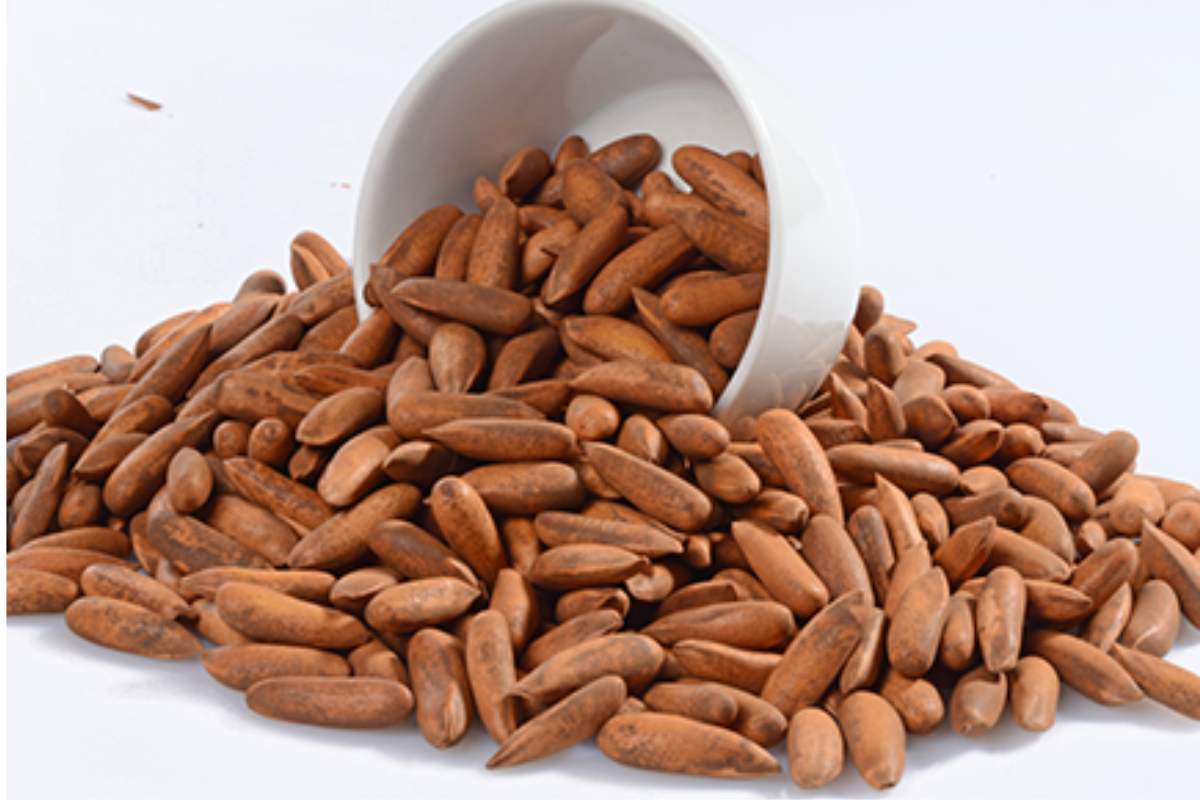 Pine Nuts Benefits