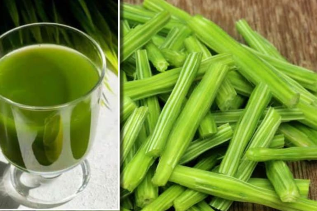 Moringa Water Benefits